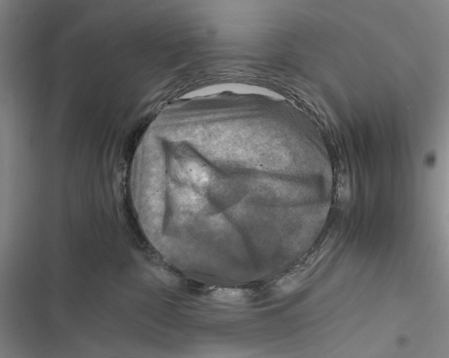 X0000116800332201001151128
