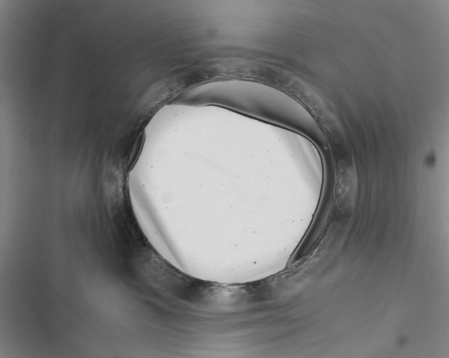 X0000116800333201001151128