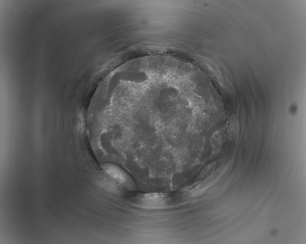 X0000116800335201001151128