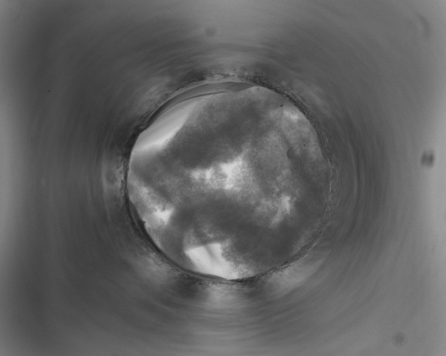 X0000116800336201001151128