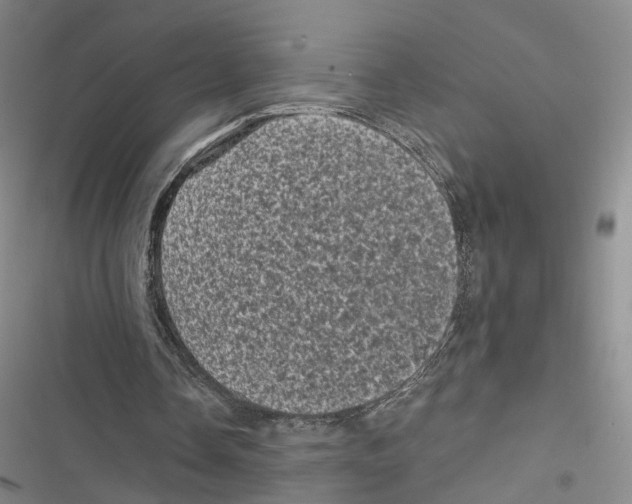 X0000116800338201001151127