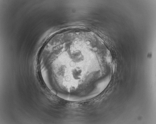 X0000116800339201001151127
