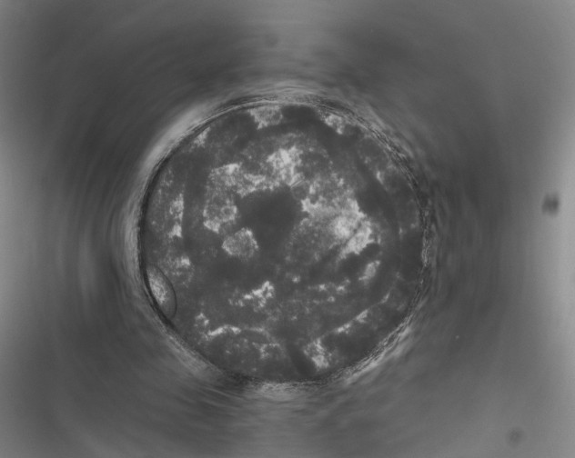 X0000116800341201001151127
