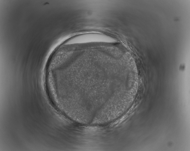 X0000116800342201001151127