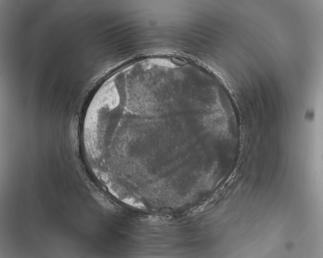 X0000116800345201001151127