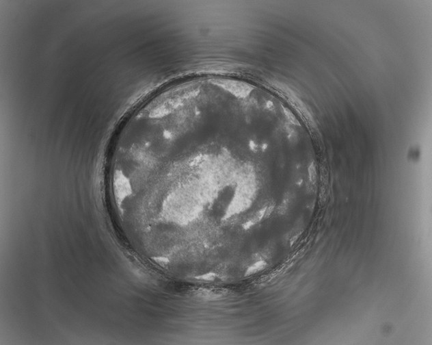 X0000116800346201001151127
