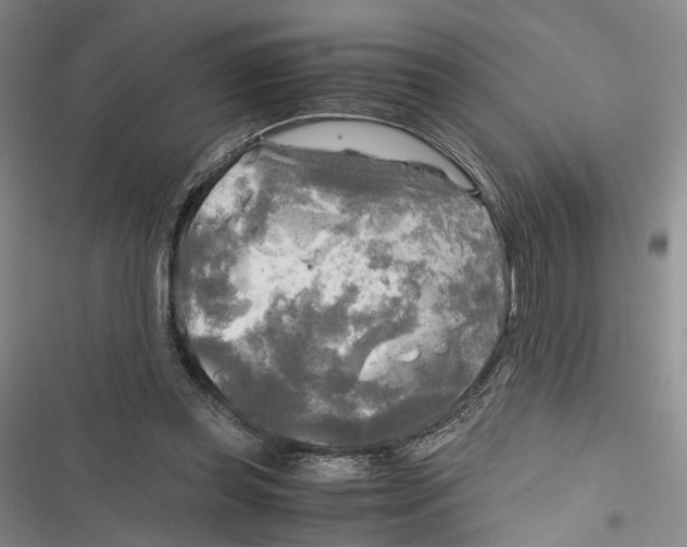 X0000116800349201001151127