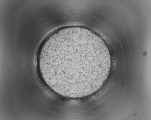 X0000116800350201001151127