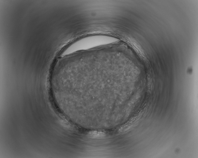 X0000116800354201001151127