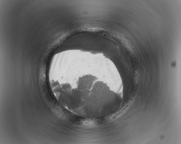 X0000116800358201001151127