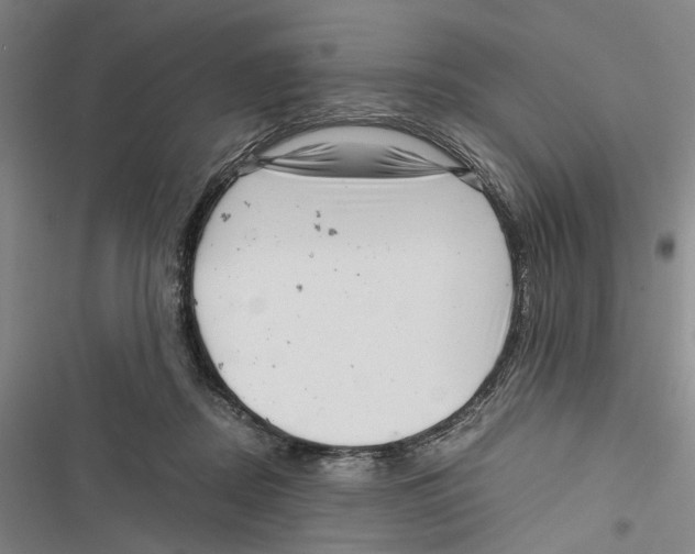 X0000116800362201001151128