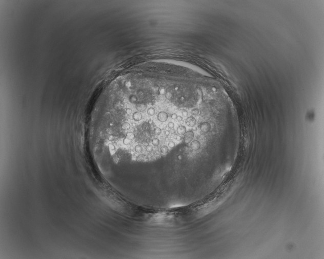 X0000116800366201001151128