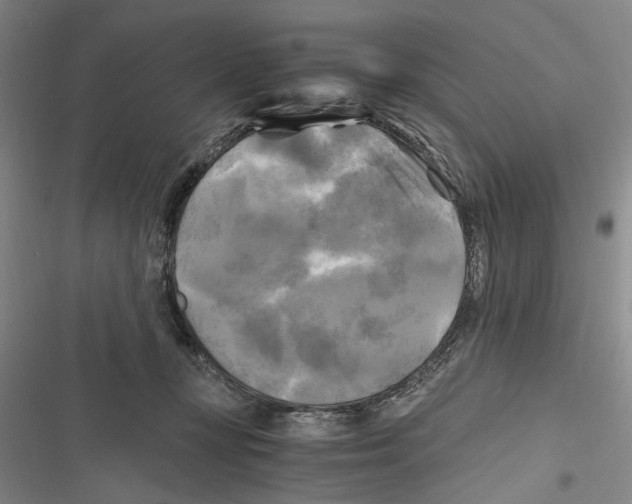 X0000116800367201001151128