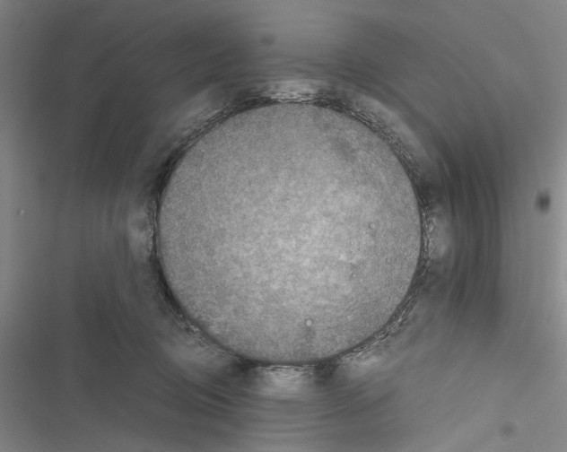 X0000116800370201001151128