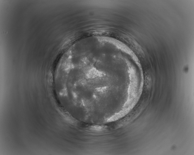 X0000116800375201001151128