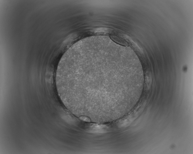 X0000116800379201001151128