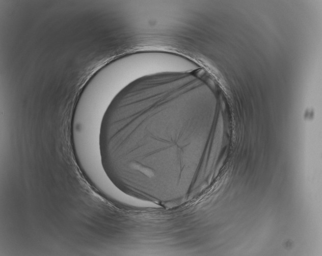 X0000116800385201001151127
