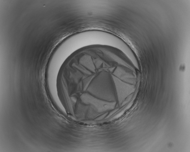 X0000116800386201001151127
