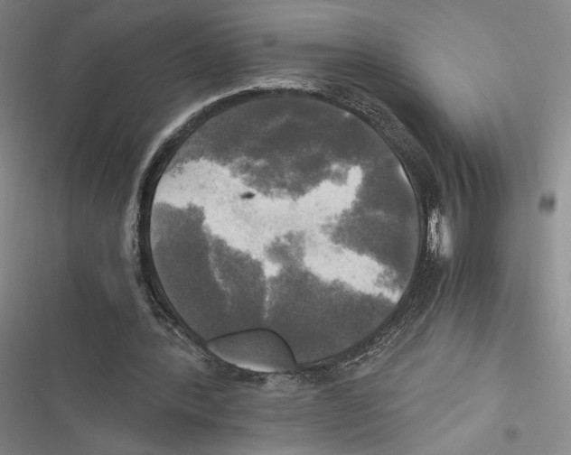 X0000116800388201001151127