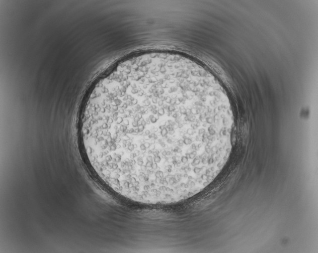 X0000116800389201001151127