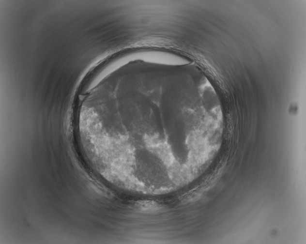 X0000116800392201001151127