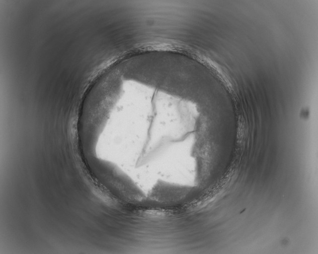 X0000116800394201001151127