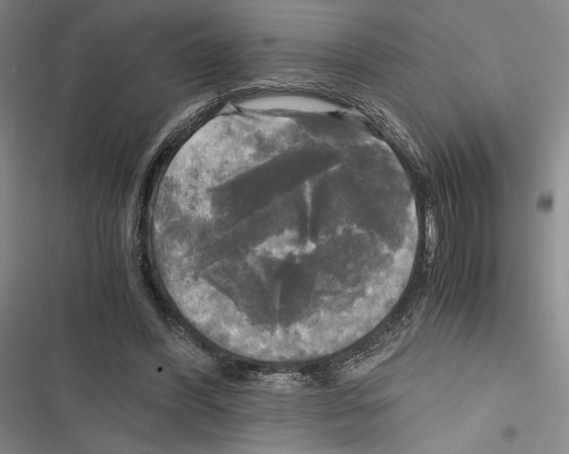 X0000116800396201001151127