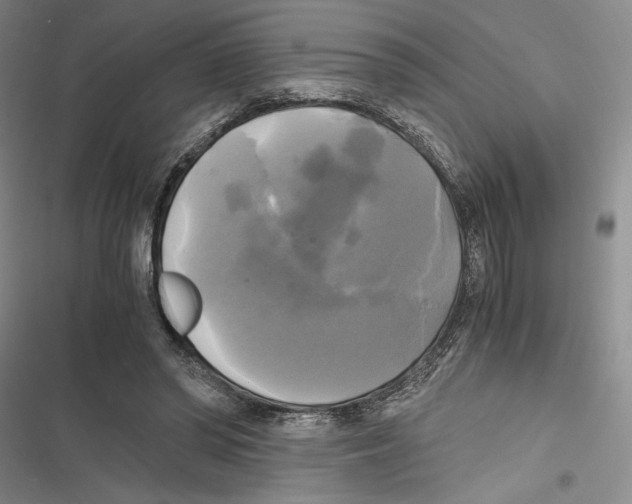 X0000116800398201001151127