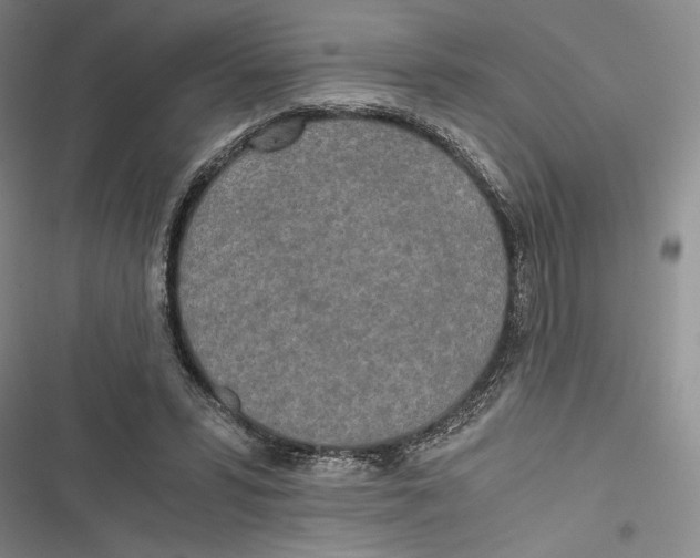 X0000116800399201001151127
