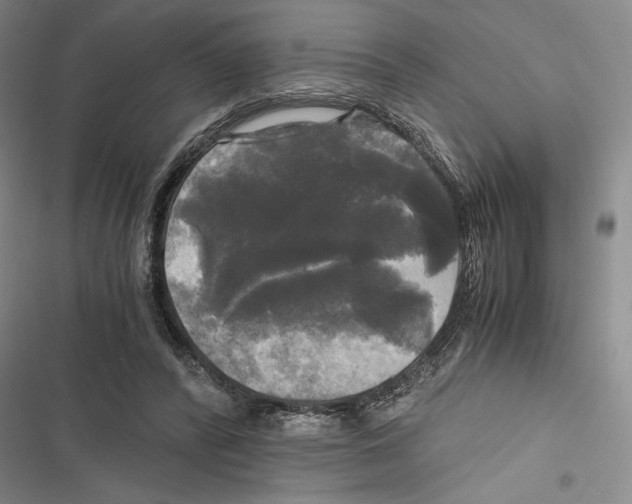 X0000116800400201001151127