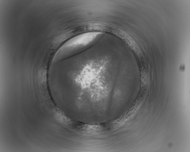 X0000116800401201001151127