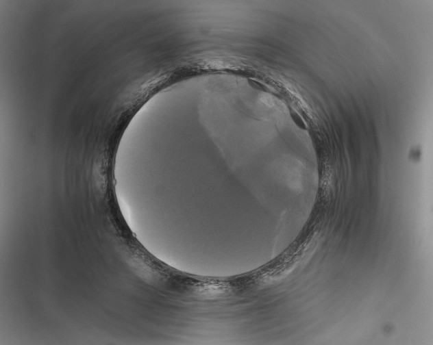 X0000116800402201001151127