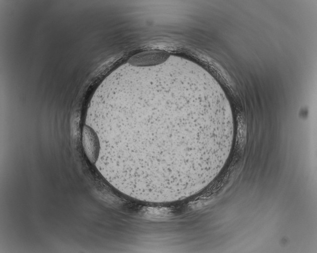X0000116800403201001151127