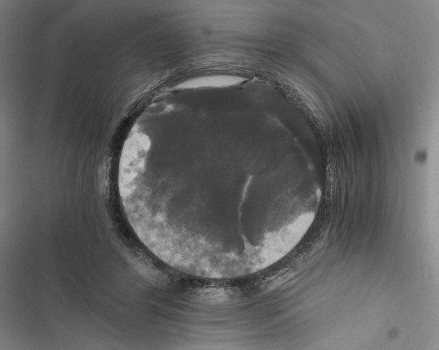 X0000116800404201001151127