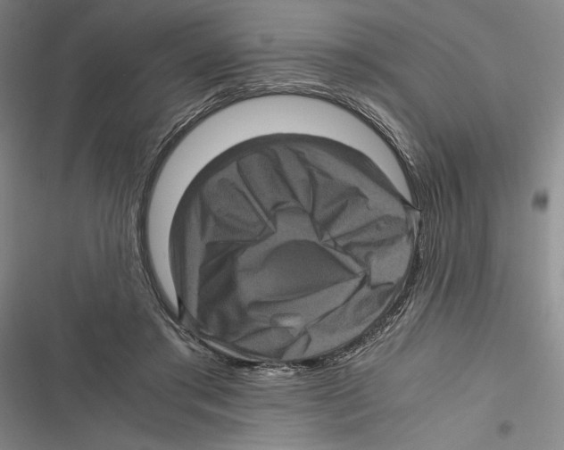 X0000116800405201001151127