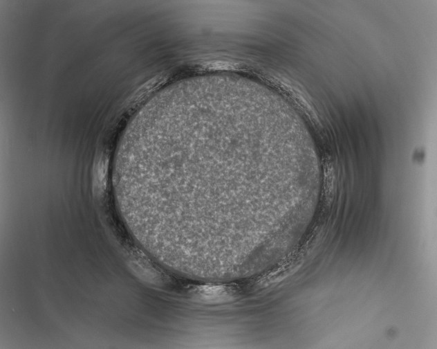 X0000116800406201001151127