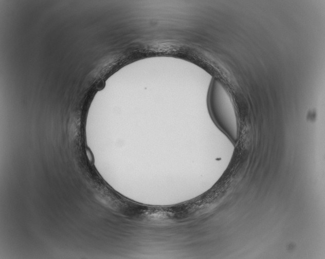 X0000116800407201001151127