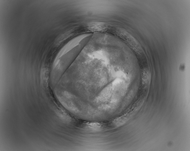 X0000116800409201001151127