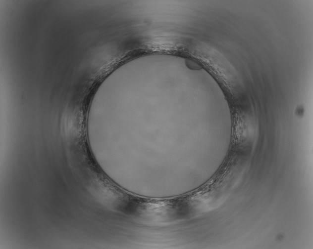 X0000116800411201001151127