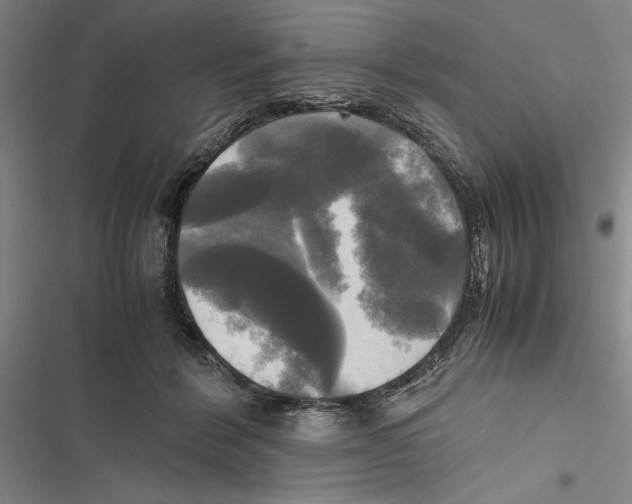 X0000116800412201001151126