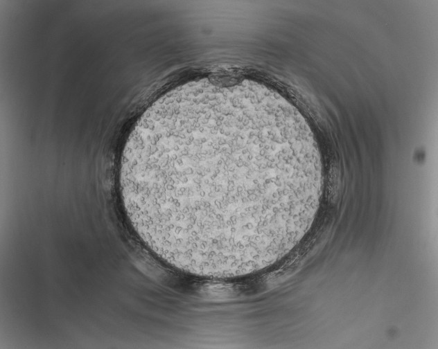 X0000116800413201001151126