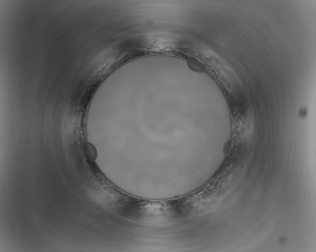 X0000116800415201001151126