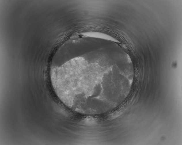 X0000116800416201001151126