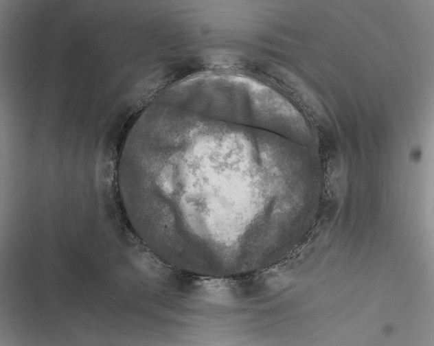X0000116800417201001151126