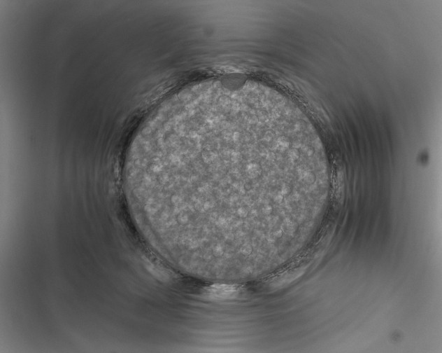 X0000116800418201001151126