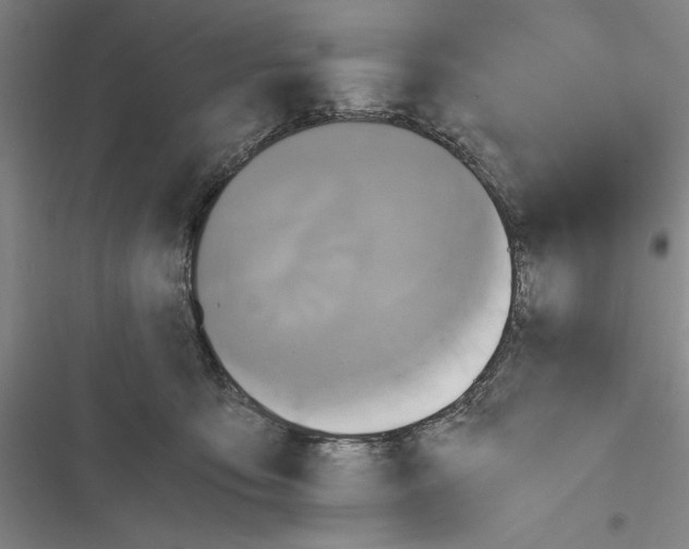 X0000116800419201001151126