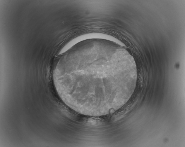 X0000116800420201001151126