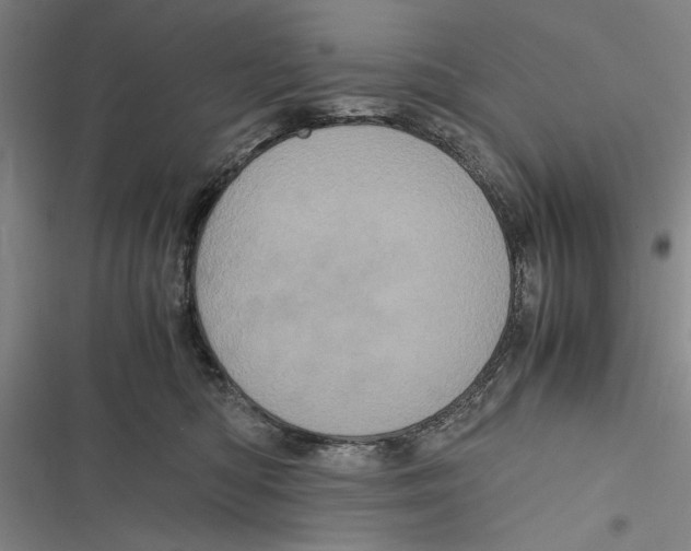 X0000116800422201001151126