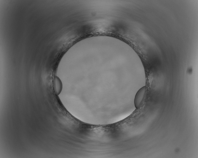 X0000116800423201001151126