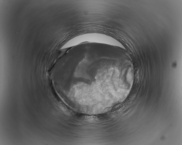 X0000116800424201001151126